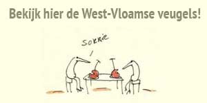 West-Vloamse veugels Lise Vanlerberghe