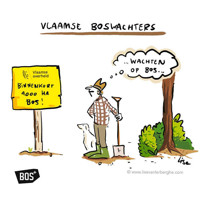 cartoonist netwerkevent