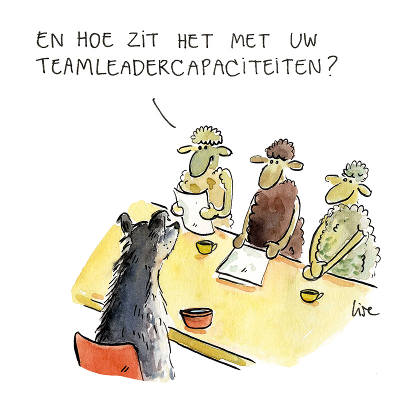 cartoon solliciteren